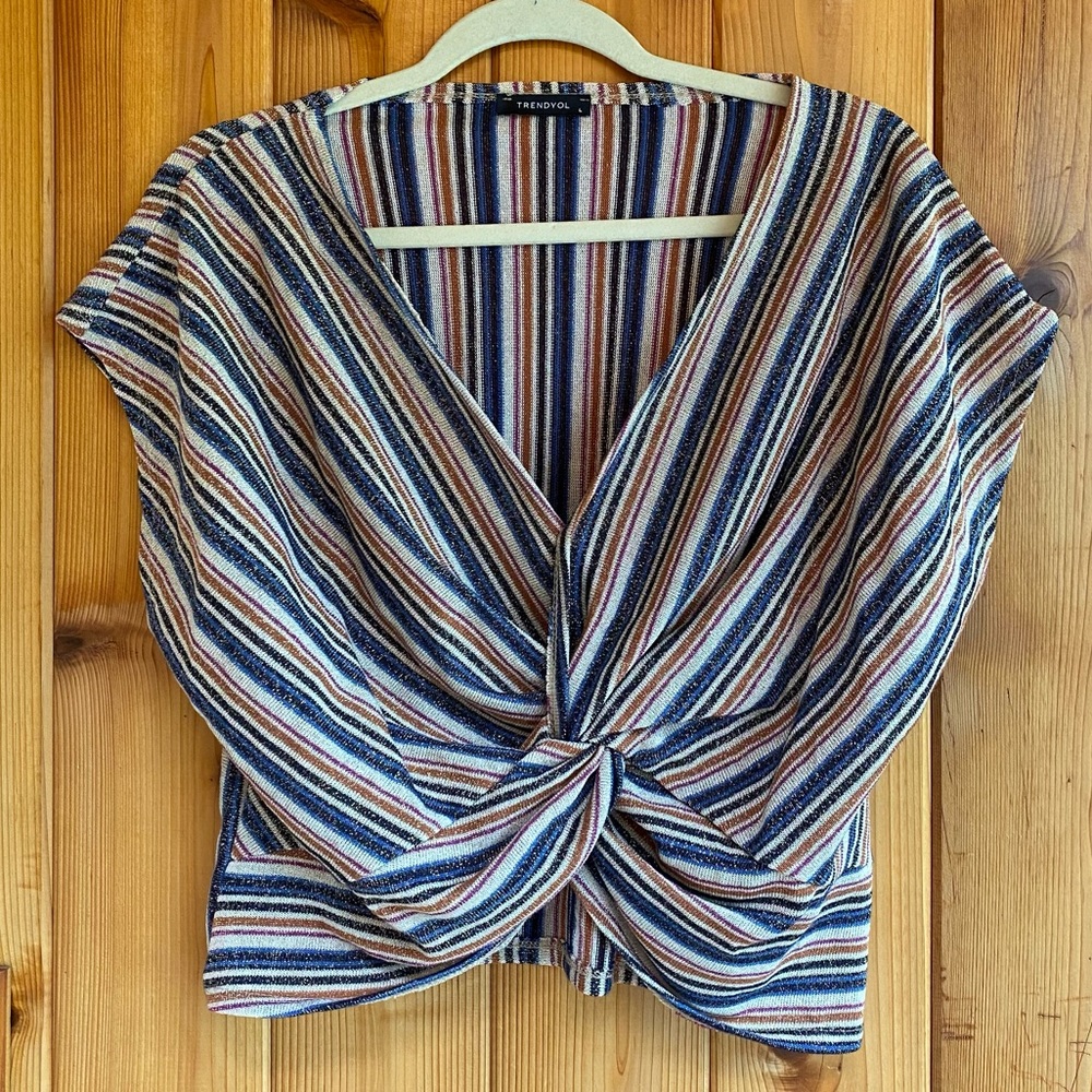 Cute knit metallic striped knit crop top